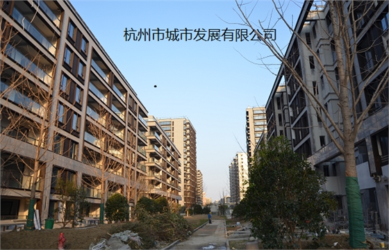 微信截圖_202003杭州市城投建設(shè)項(xiàng)目.png